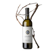 Pinot grigio doc giallo paglierino intenso