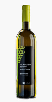 Falanghina Beneventana IGP Vinicola